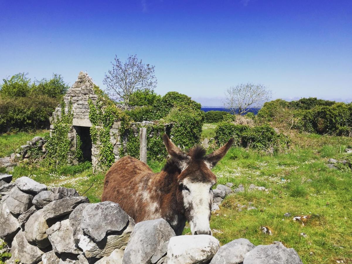 Oranuisce Thatch Cottage Ballyvaughan Buitenkant foto